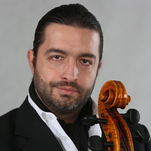 adrian naidin